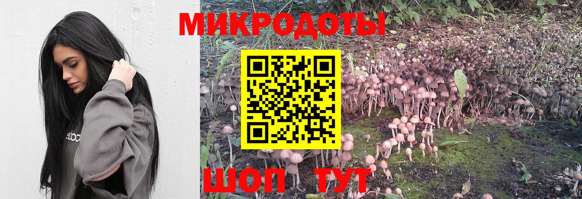 Галлюциногенные грибы Psilocybine cubensis Дубна