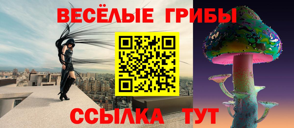 Дубна  Псилоцибиновые грибы Psilocybine cubensis  Вход с VPN 