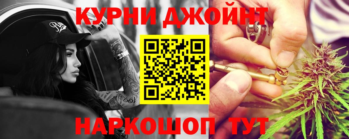 Дубна  МАРИХУАНА сатива  Канабис семена  Каннабис гибрид  Вход с VPN 